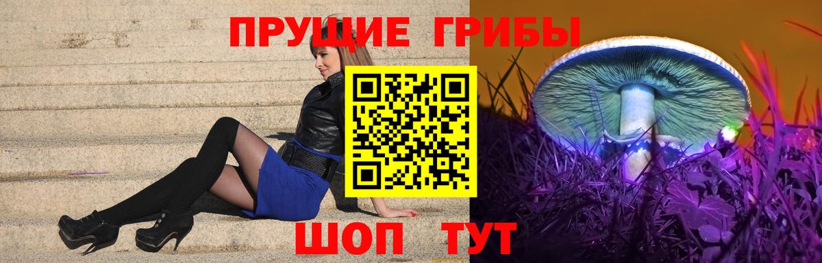 Галлюциногенные грибы мухоморы Ульяновск